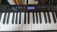 Keyboards Digital Pianos Casio Px-S3000