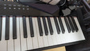 Keyboards Digital Pianos Casio Px-S3000