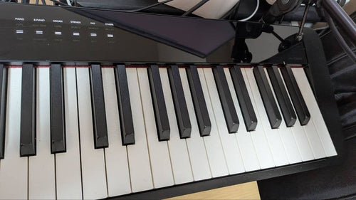 Keyboards Digital Pianos Casio Px-S3000