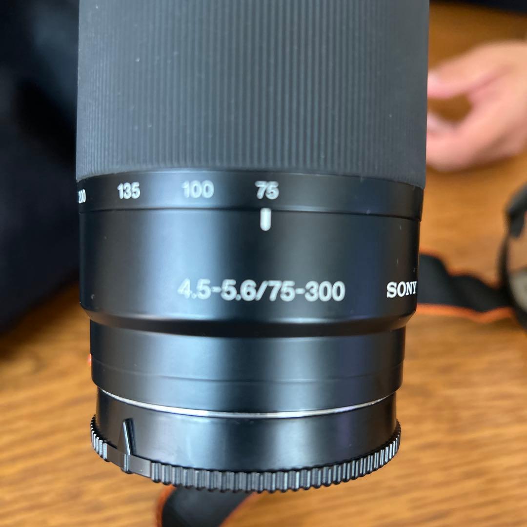 Sony Mirrorless Interchangeable Lens Cameras 55