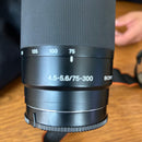 Sony Mirrorless Interchangeable Lens Cameras 55