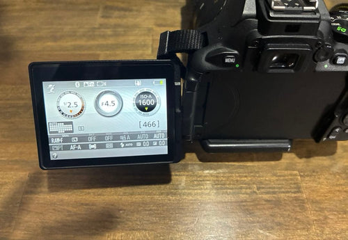 Nikon Digital Slrs D5600 2
