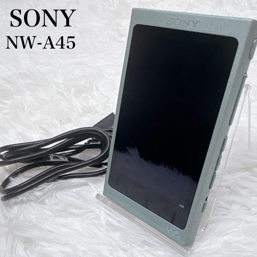 Sony Digital Audio Players Walkman Nw-A45