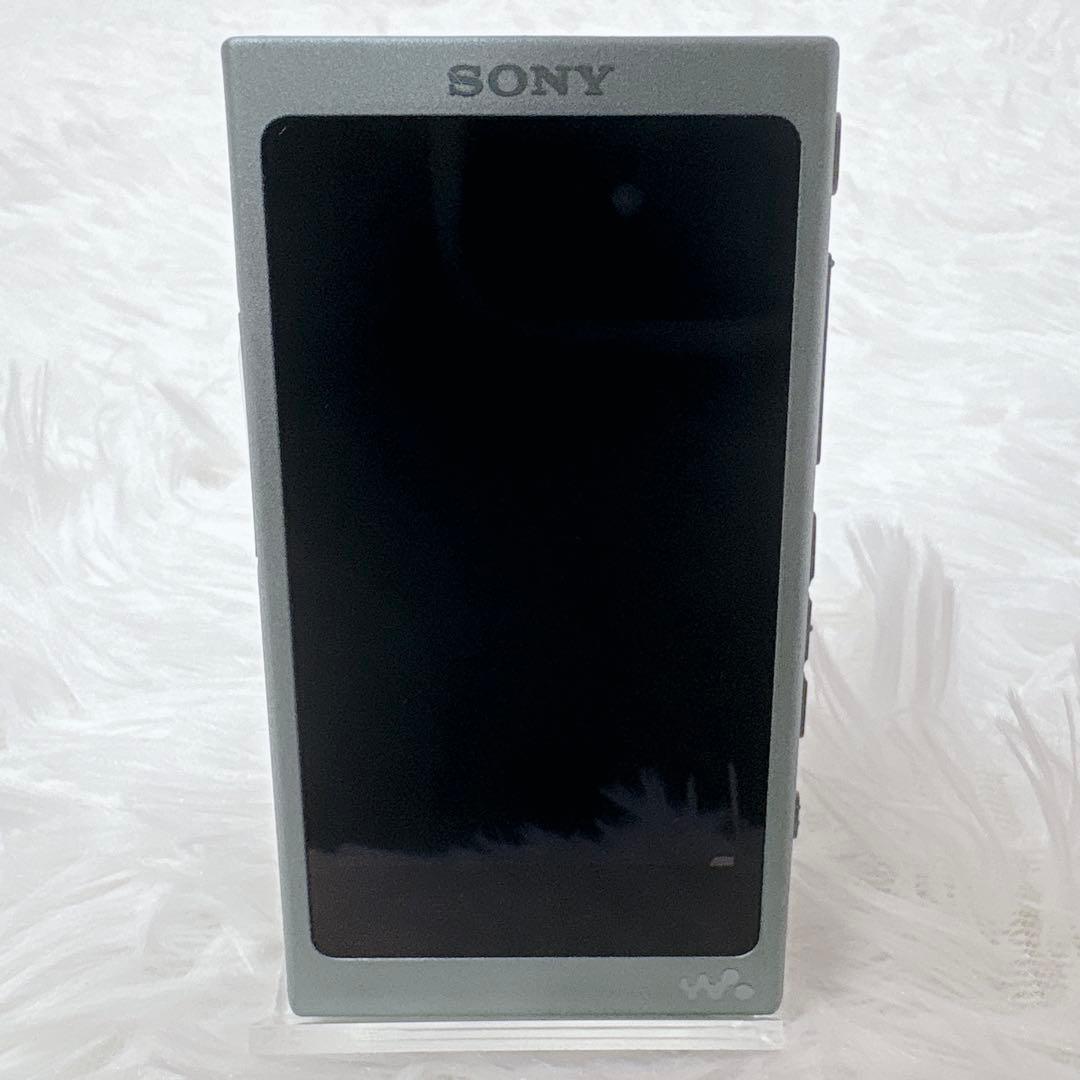 Sony Digital Audio Players Walkman Nw-A45