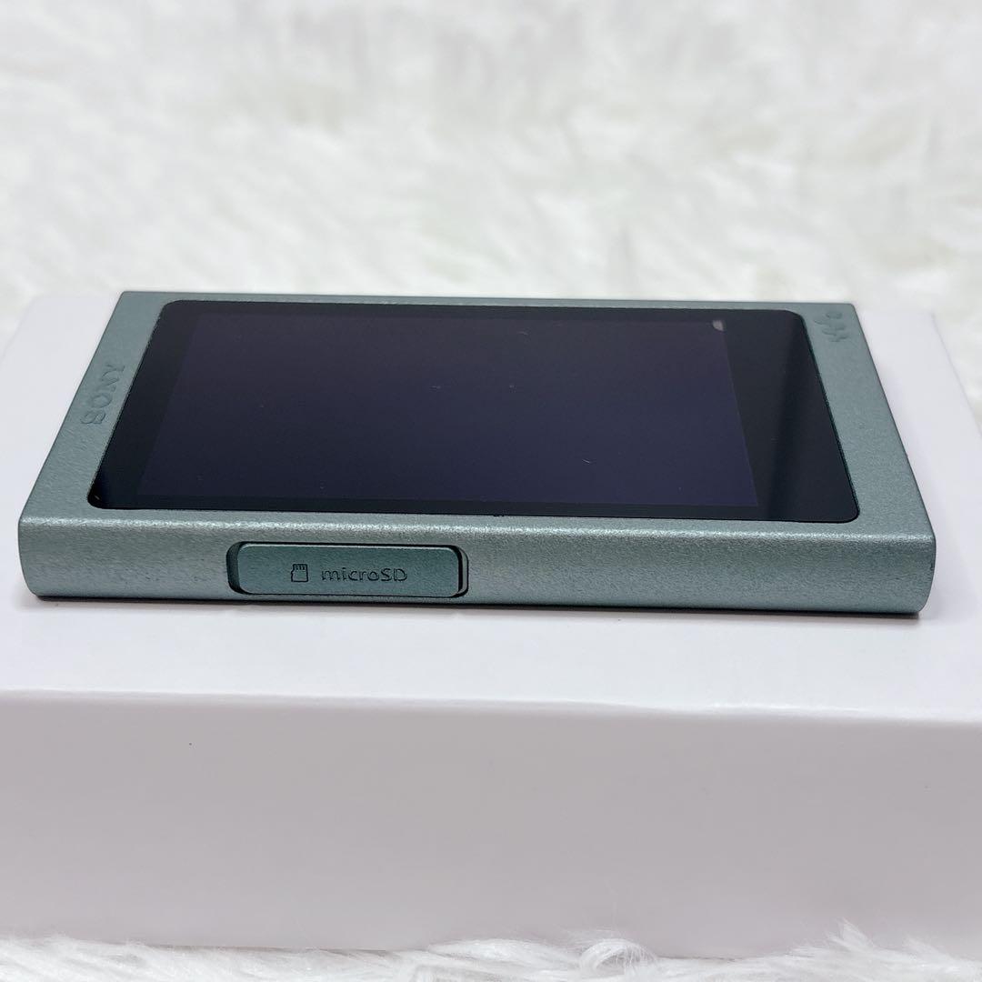 Sony Digital Audio Players Walkman Nw-A45