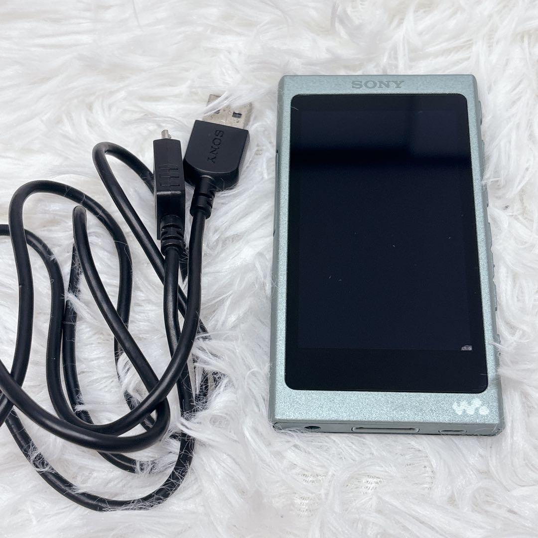 Sony Digital Audio Players Walkman Nw-A45