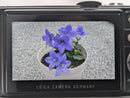 Leica Compact Digital Cameras D-Lux 3 #430