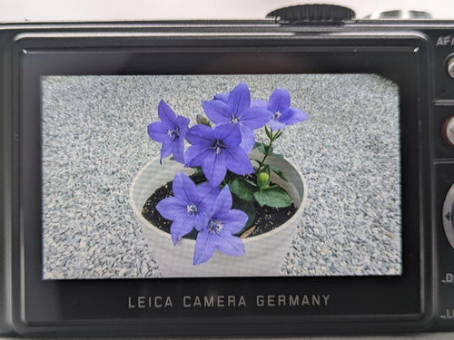Leica Compact Digital Cameras D-Lux 3 #430