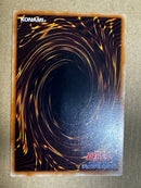 Yu -Gi -Oh! Ocg Duel Monsters Fgd