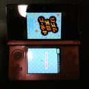 Nintendo 3Ds Consoles 9