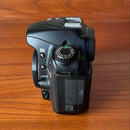 Nikon Digital Slr