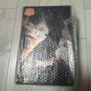 Hot Toys American Comics 1/6 (2.0