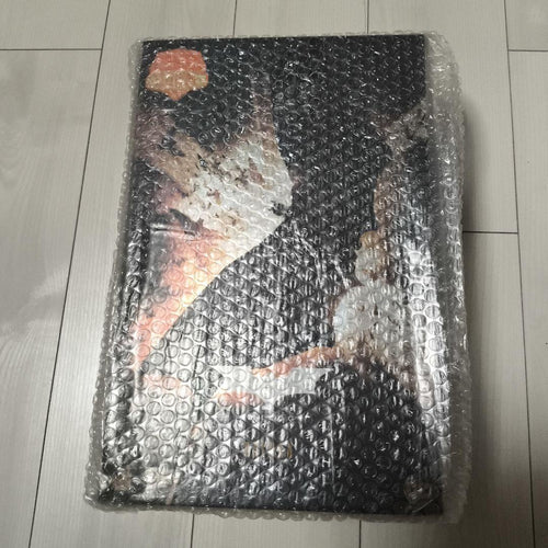 Hot Toys American Comics 1/6 (2.0