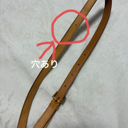 Louis Vuitton Shoulder Bags