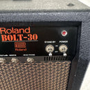Roland Guitar Amplifier Bolt-30