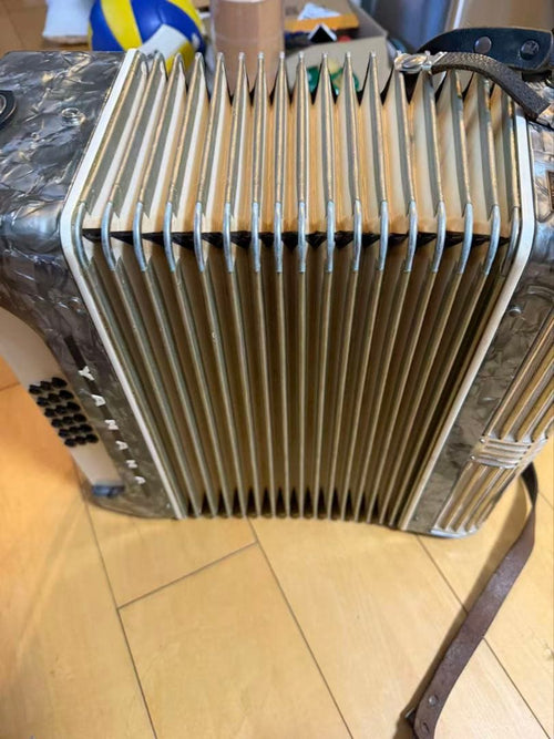 Yamaha Accordions