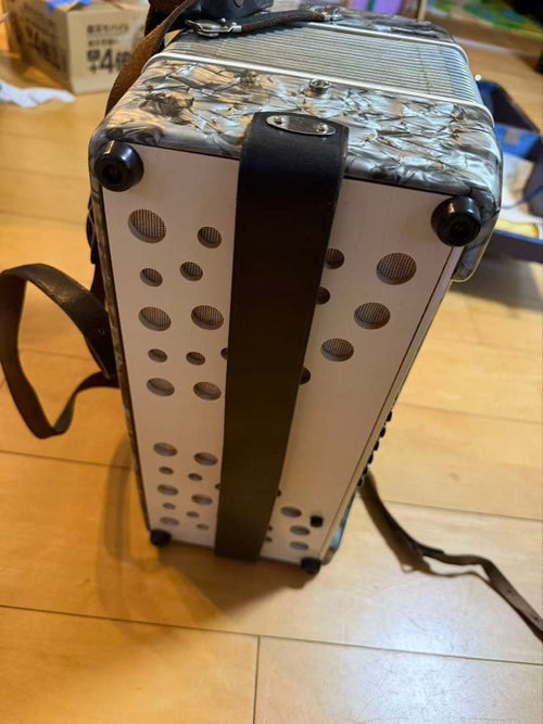 Yamaha Accordions