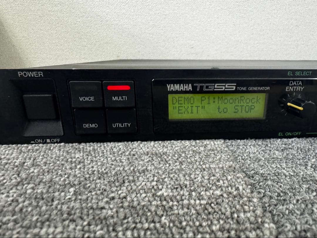 Yamaha Other Tg55