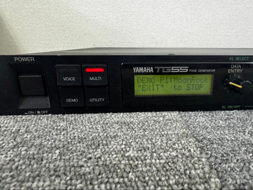 Yamaha Other Tg55