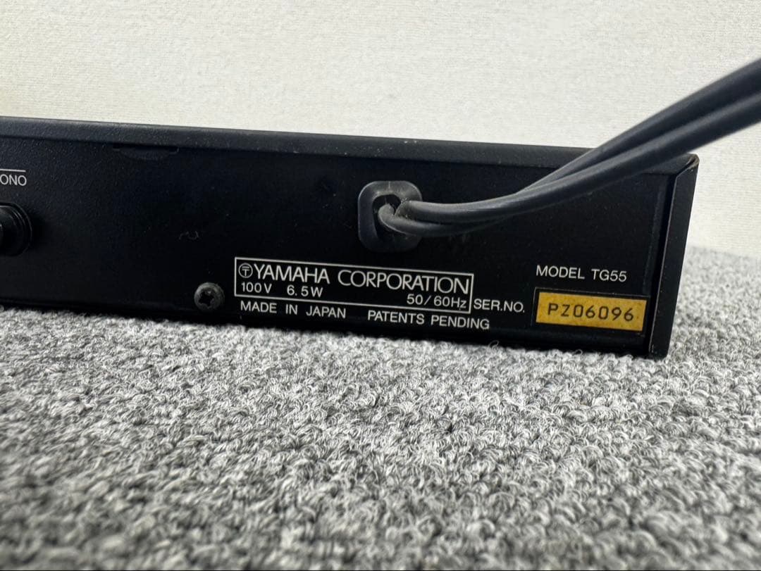 Yamaha Other Tg55