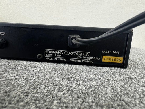Yamaha Other Tg55