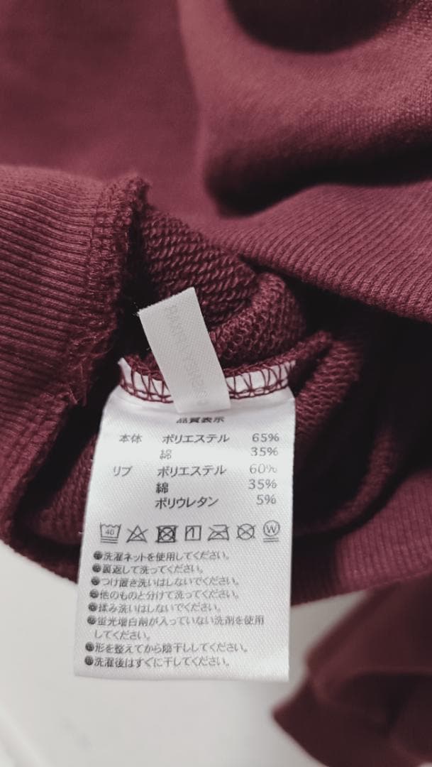 Tokyo Disney Resort Sweatshirts [R R]Roar Omega Roar