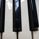 Yamaha Keyboards Digital Pianos 80 Shs-10