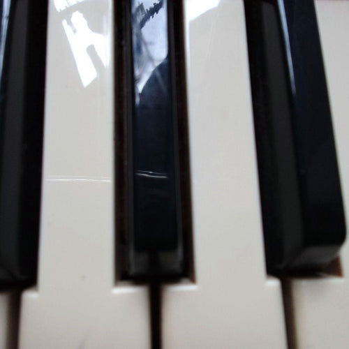 Yamaha Keyboards Digital Pianos 80 Shs-10