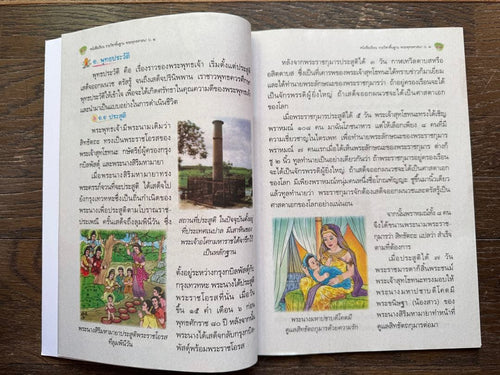 Language Dictionary Learning Reference Book Ds