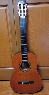 Acoustic Guitars Yamaha C-200