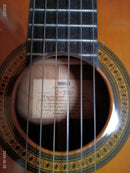 Acoustic Guitars Yamaha C-200