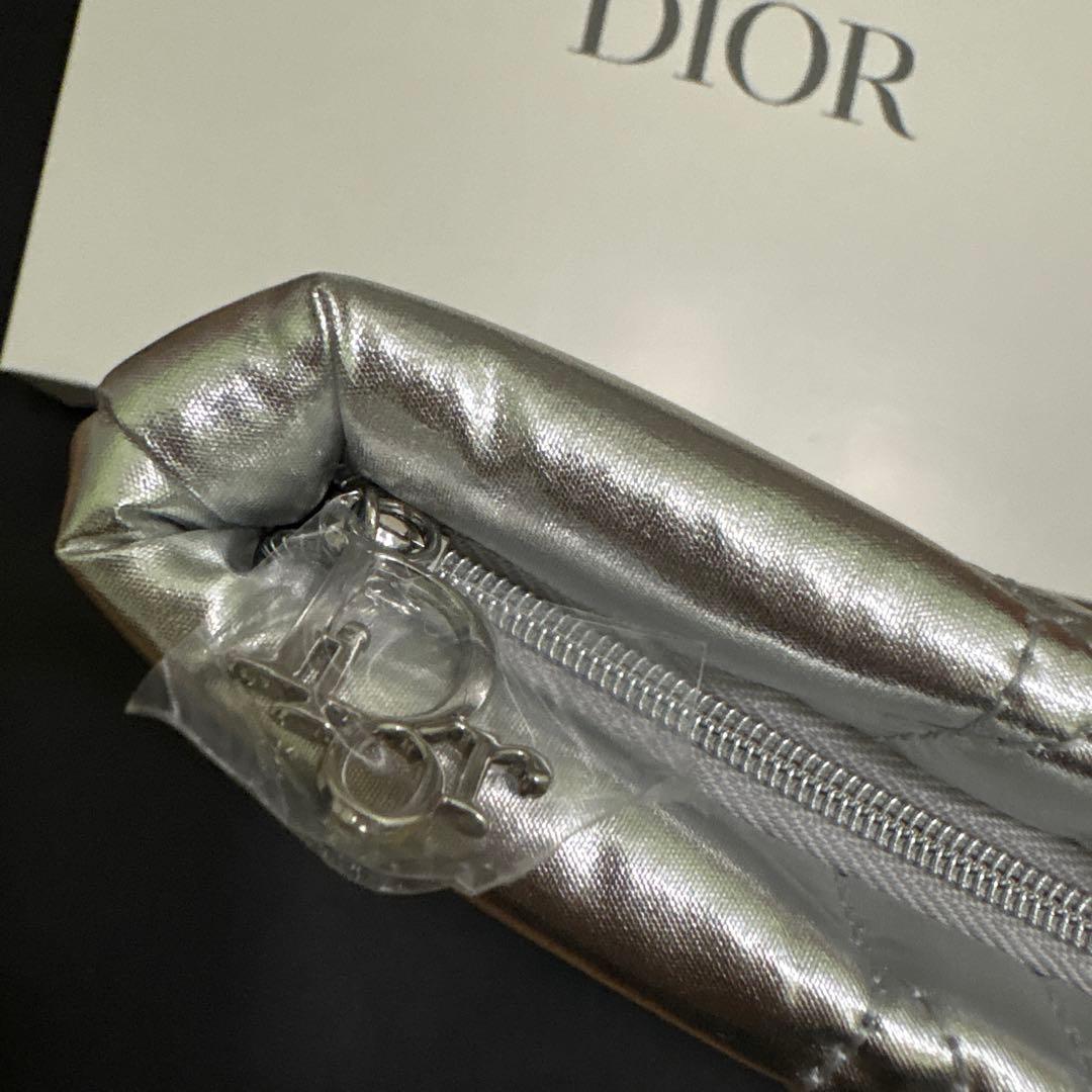 Christian Dior Pouches