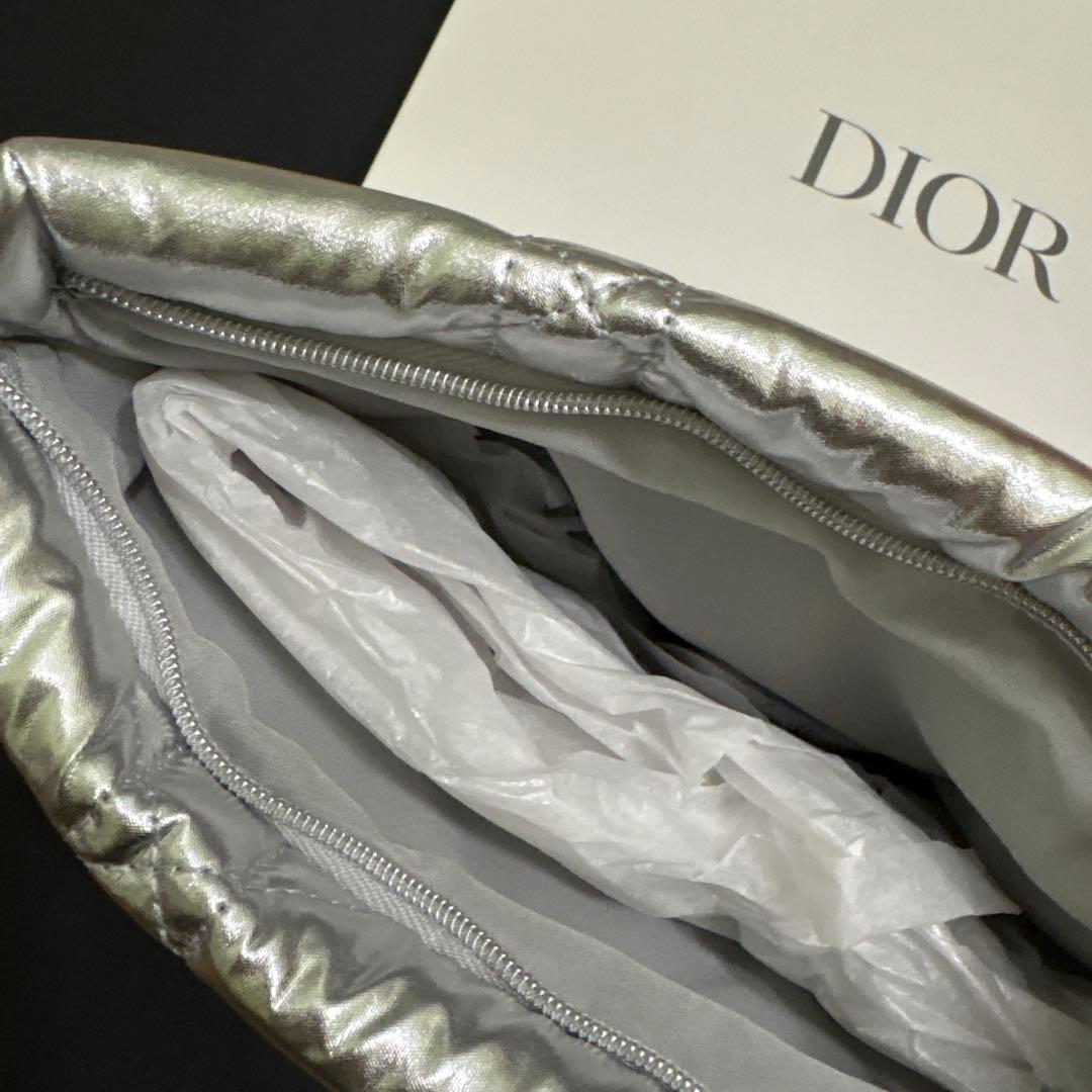 Christian Dior Pouches