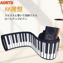 Others Aortd 88 Midi