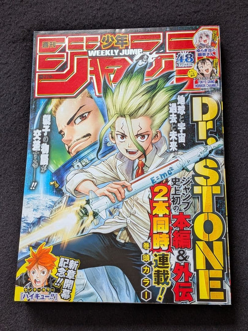Weekly Magazine 2019 48 One Piece