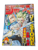 Weekly Magazine 2019 48 One Piece