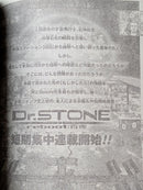 Weekly Magazine 2019 48 One Piece