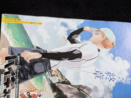 Weekly Magazine 2019 48 One Piece