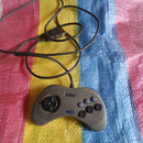 Sega Body
