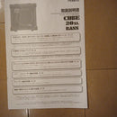 Roland Base Amplifier Cube 20Xl Bass