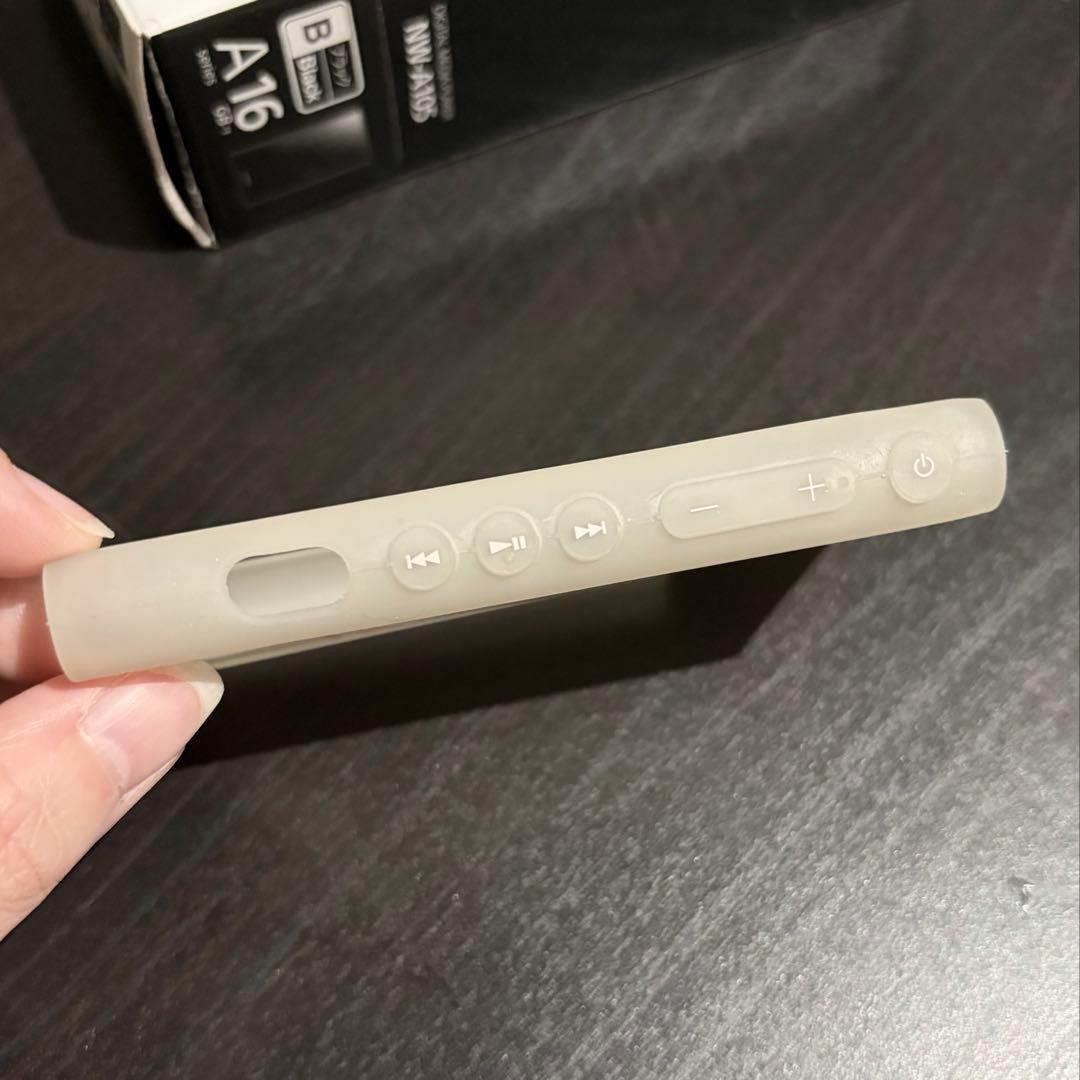 Sony Other Nw-A105