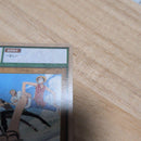 One Piece Card Game