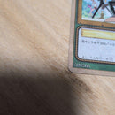One Piece Card Game