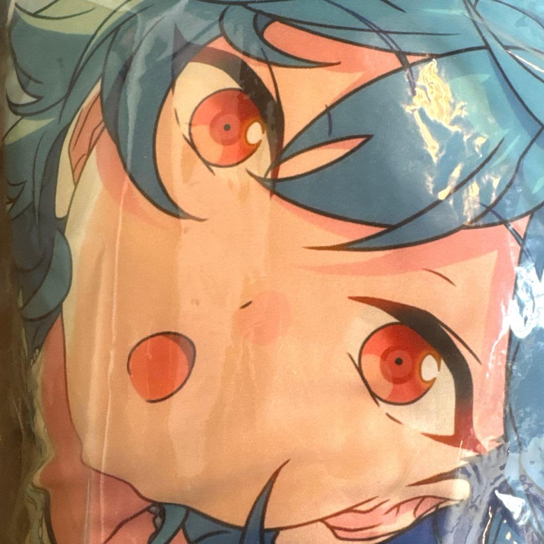 Cushions, Body Pillows Blankets