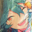 Cushions, Body Pillows Blankets