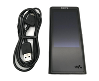 Sony Digital Audio Player Walkman Zx300