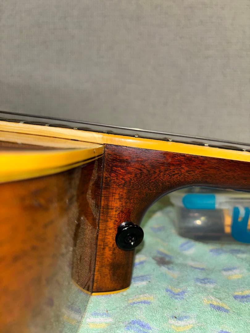 Yamaha Acoustic Guitars Fg-450