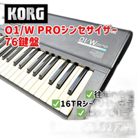 Korg Others 01/W Pro 76 Ai2