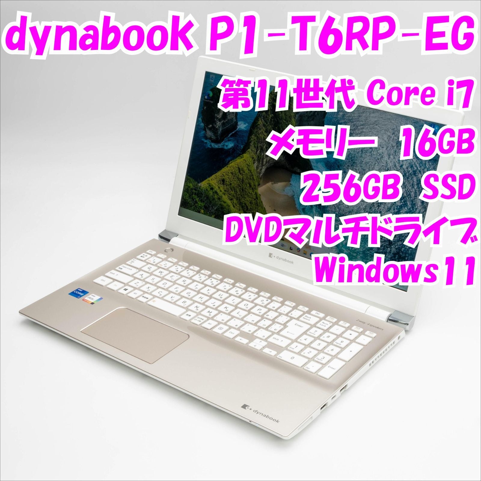 Dynabook Windows Notebook Body P1-T6Rp-Eg 15.6 11 I7 Windows11 36519