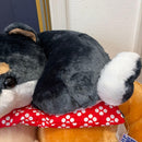 Plush Toys Stuffed Big 3